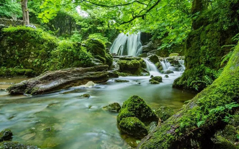 可靠性高性能